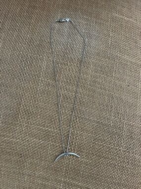 Chan Luu Silver Crescent Necklace